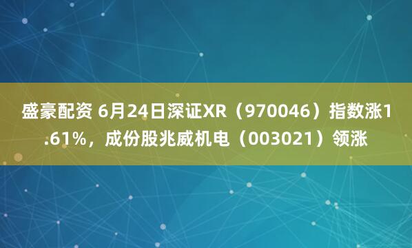 盛豪配资 6月24日深证XR（970046）指数涨1.61%，成份股兆威机电（003021）领涨