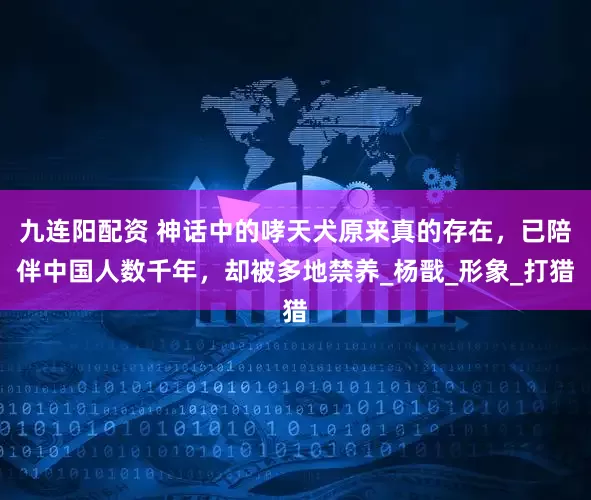 九连阳配资 神话中的哮天犬原来真的存在，已陪伴中国人数千年，却被多地禁养_杨戬_形象_打猎
